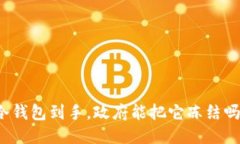 冷钱包到手，政府能把它