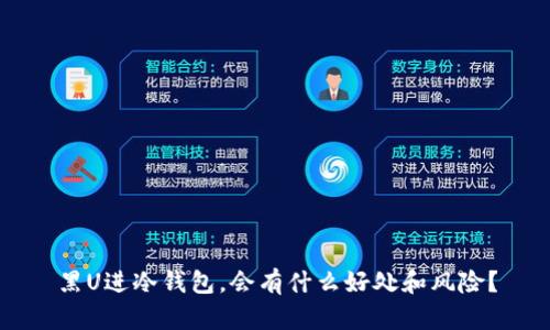 黑U进冷钱包，会有什么好处和风险？